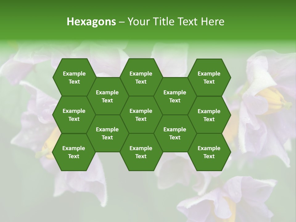 Flower From Yukon Gold Potato PowerPoint Template