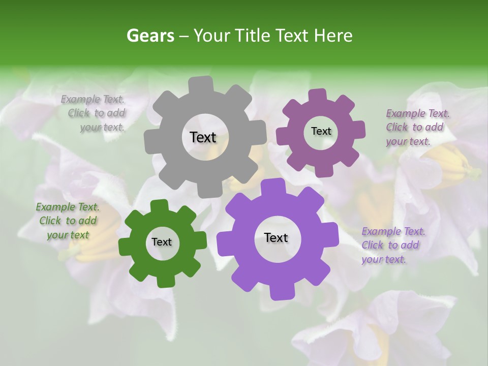 Flower From Yukon Gold Potato PowerPoint Template