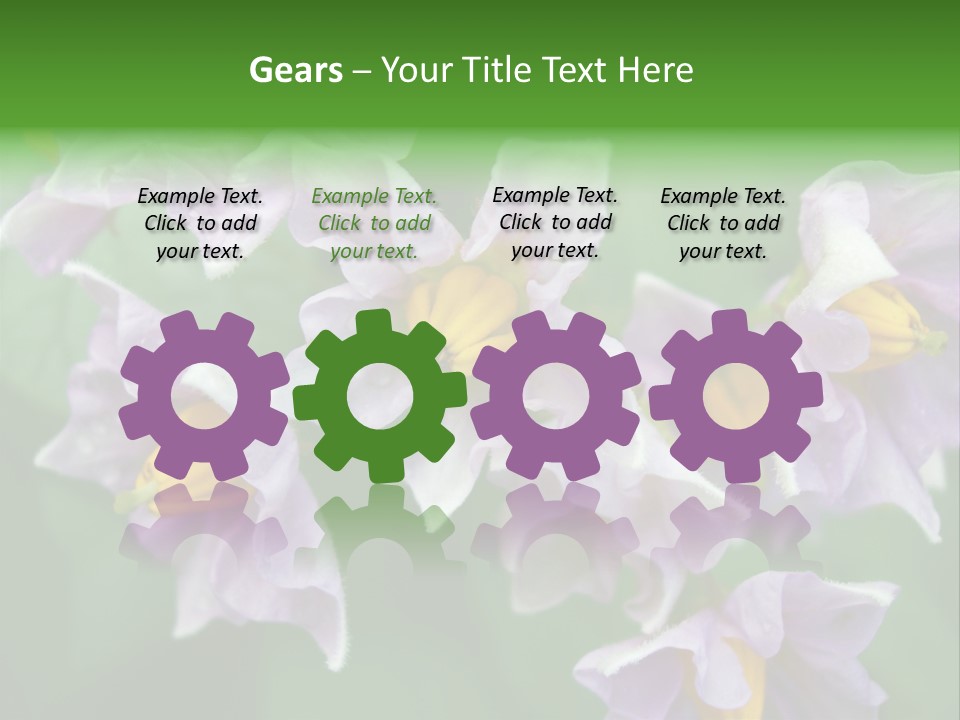 Flower From Yukon Gold Potato PowerPoint Template