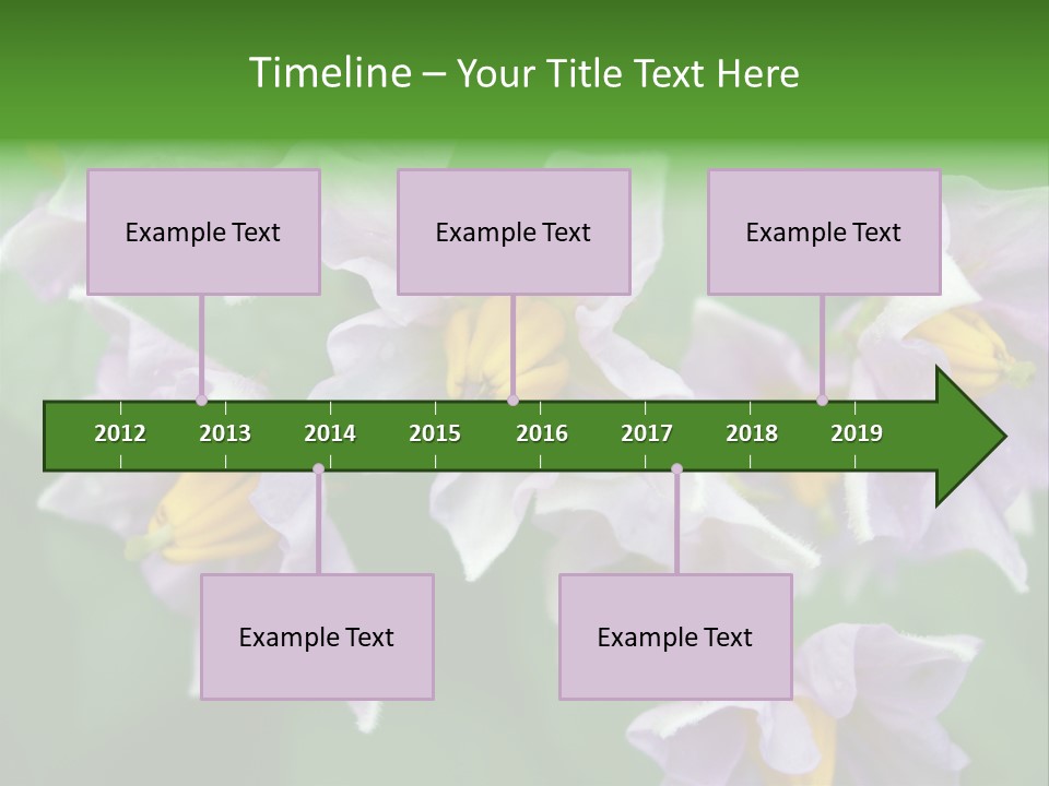 Flower From Yukon Gold Potato PowerPoint Template