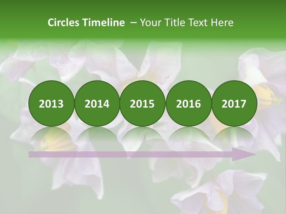 Flower From Yukon Gold Potato PowerPoint Template