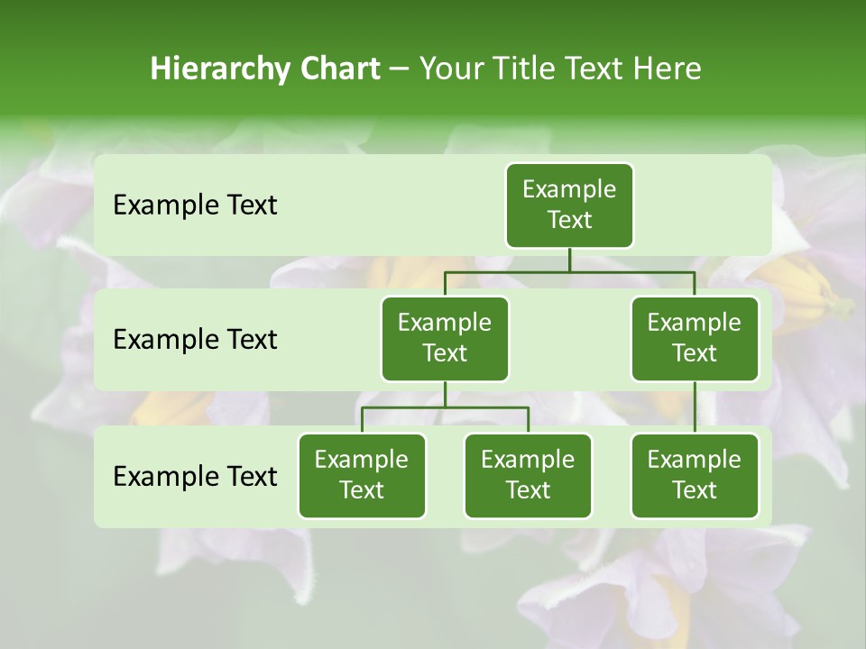 Flower From Yukon Gold Potato PowerPoint Template