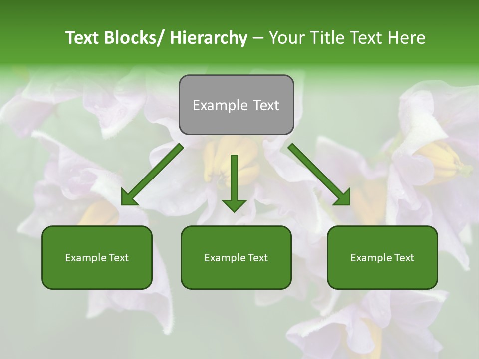 Flower From Yukon Gold Potato PowerPoint Template