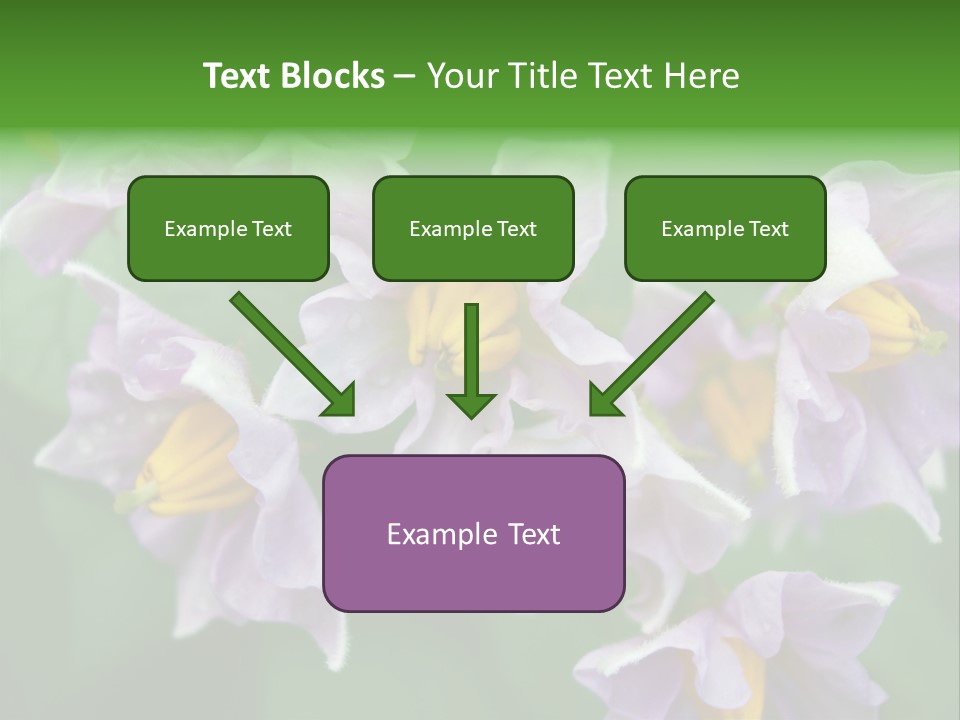 Flower From Yukon Gold Potato PowerPoint Template