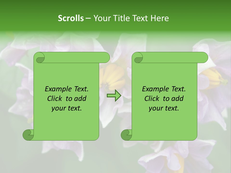 Flower From Yukon Gold Potato PowerPoint Template