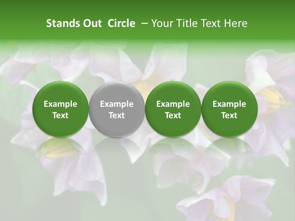 Flower From Yukon Gold Potato PowerPoint Template