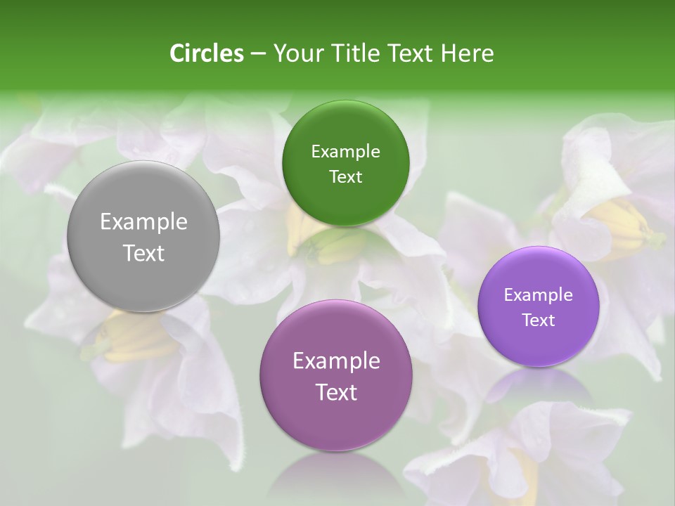 Flower From Yukon Gold Potato PowerPoint Template