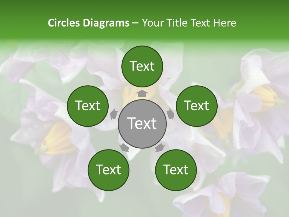 Flower From Yukon Gold Potato PowerPoint Template