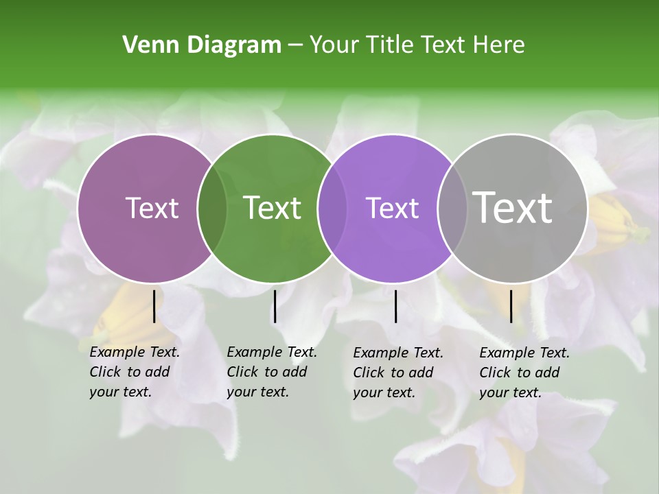 Flower From Yukon Gold Potato PowerPoint Template