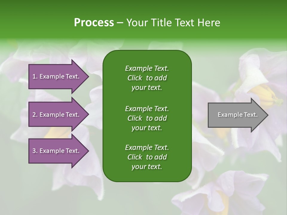 Flower From Yukon Gold Potato PowerPoint Template