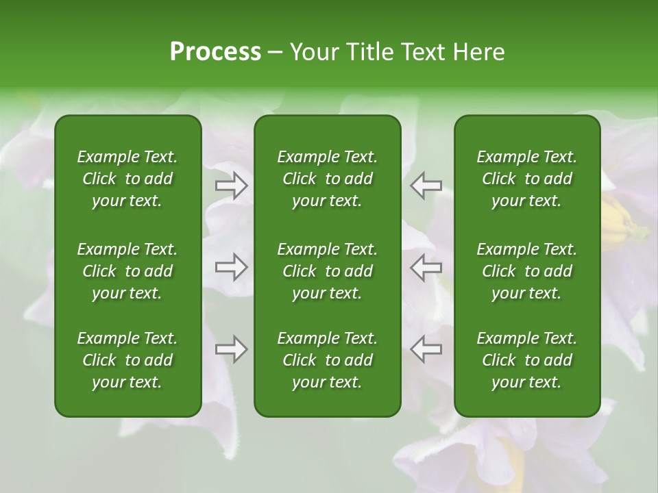 Flower From Yukon Gold Potato PowerPoint Template