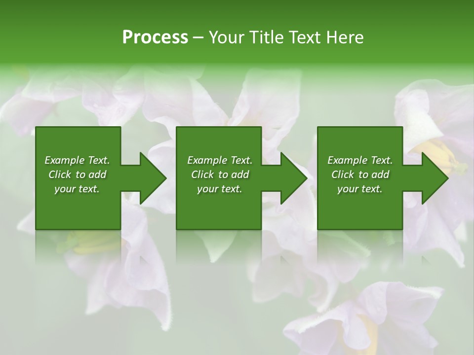 Flower From Yukon Gold Potato PowerPoint Template