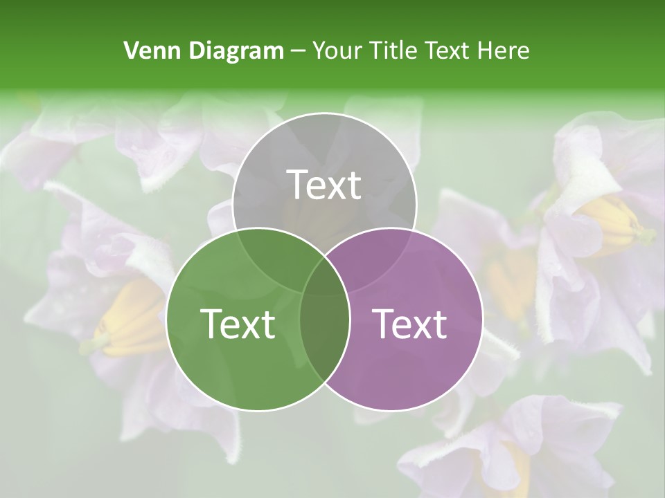 Flower From Yukon Gold Potato PowerPoint Template