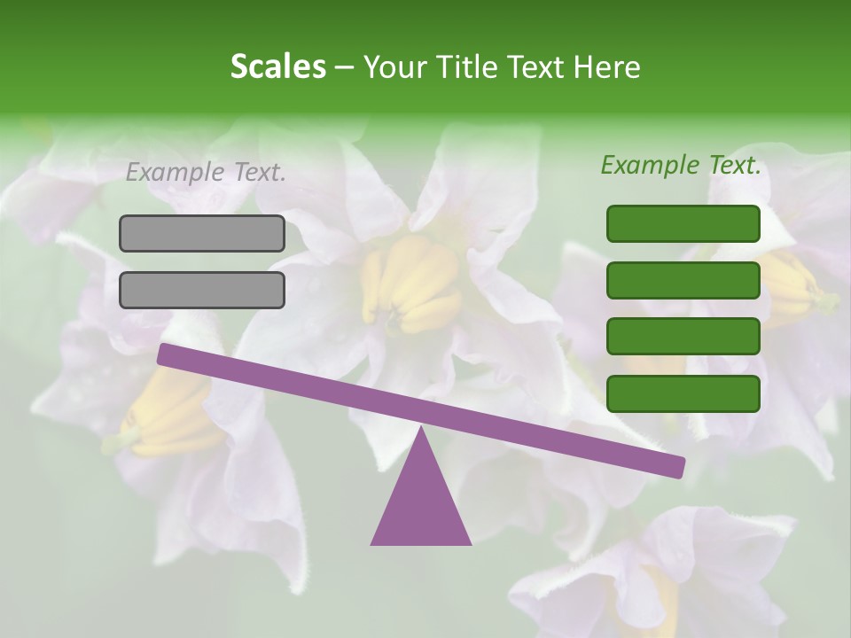 Flower From Yukon Gold Potato PowerPoint Template