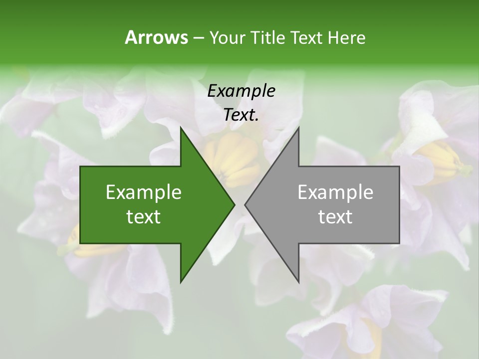 Flower From Yukon Gold Potato PowerPoint Template