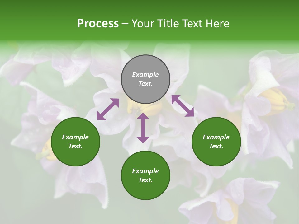 Flower From Yukon Gold Potato PowerPoint Template