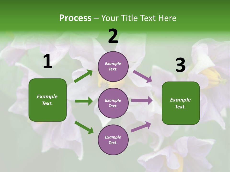 Flower From Yukon Gold Potato PowerPoint Template