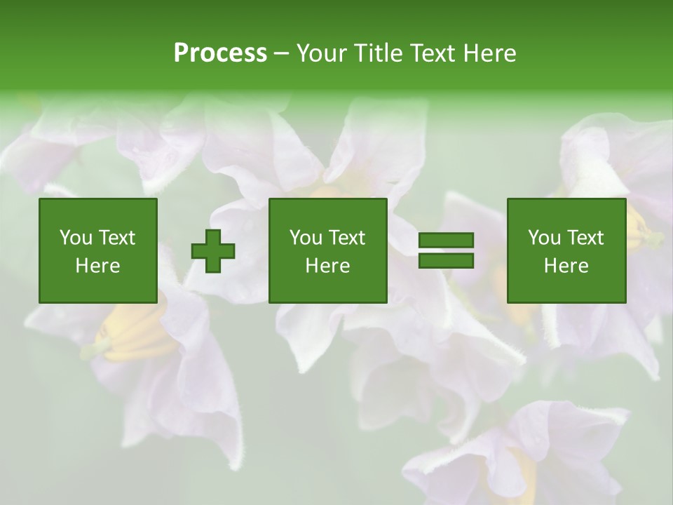 Flower From Yukon Gold Potato PowerPoint Template