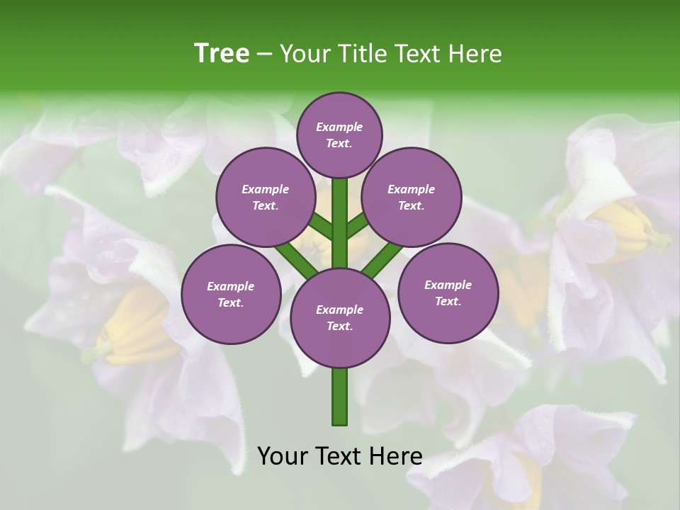 Flower From Yukon Gold Potato PowerPoint Template