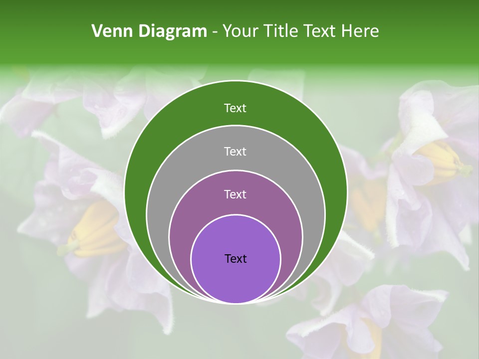 Flower From Yukon Gold Potato PowerPoint Template