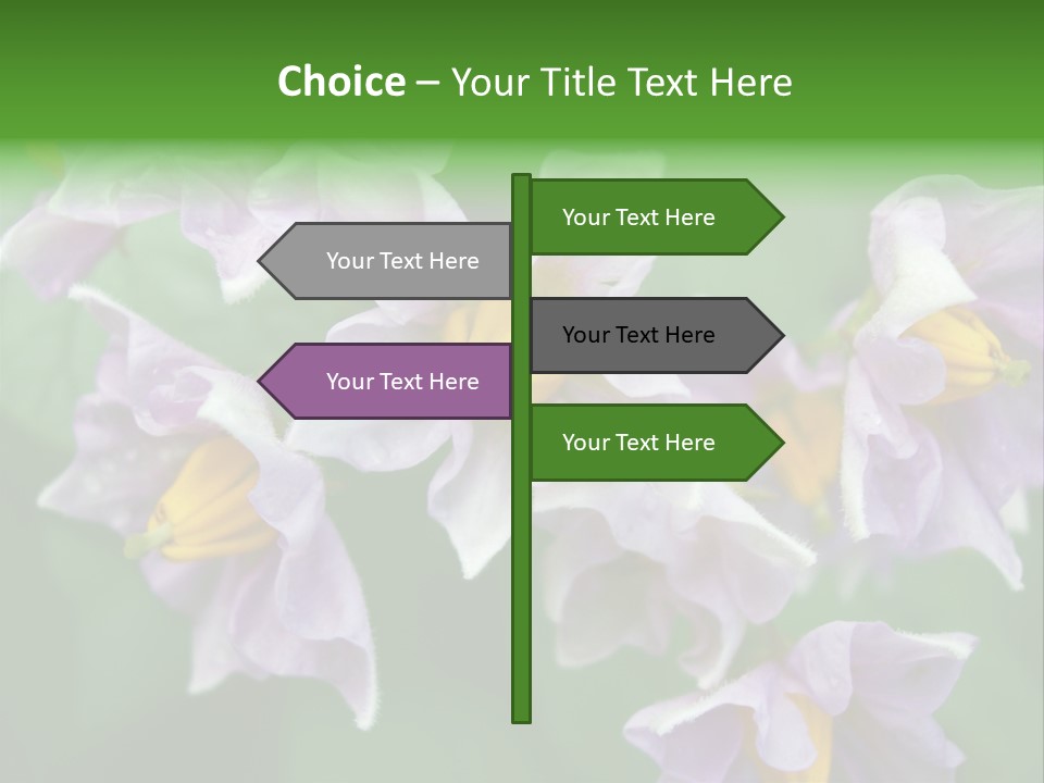 Flower From Yukon Gold Potato PowerPoint Template