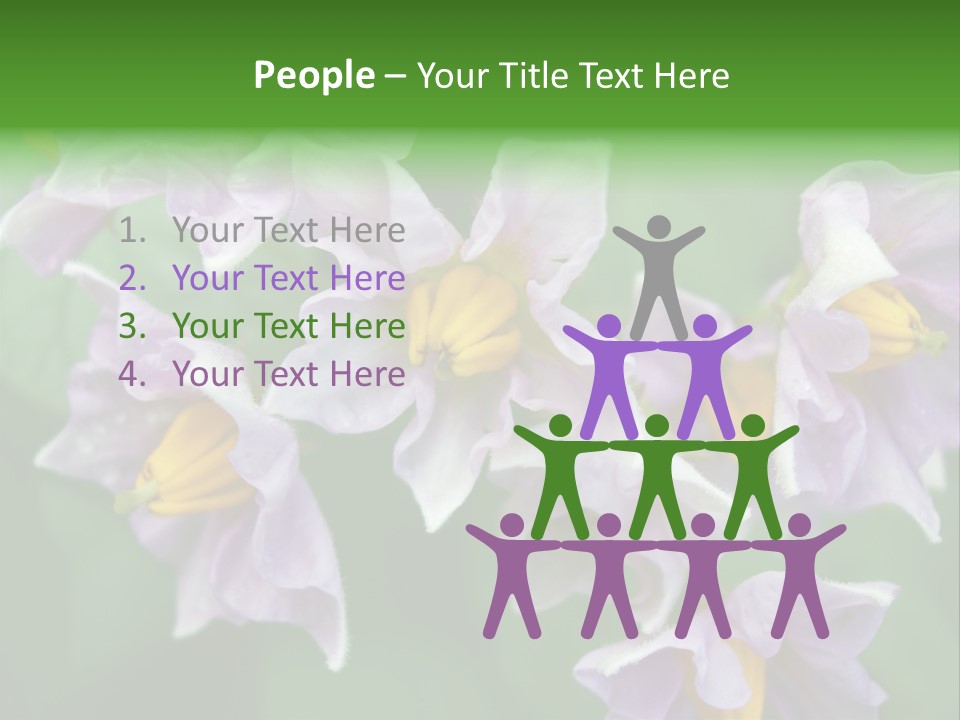 Flower From Yukon Gold Potato PowerPoint Template