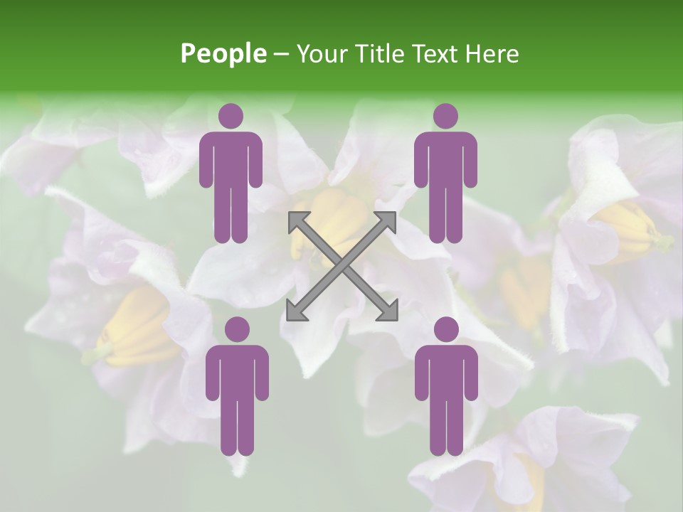 Flower From Yukon Gold Potato PowerPoint Template