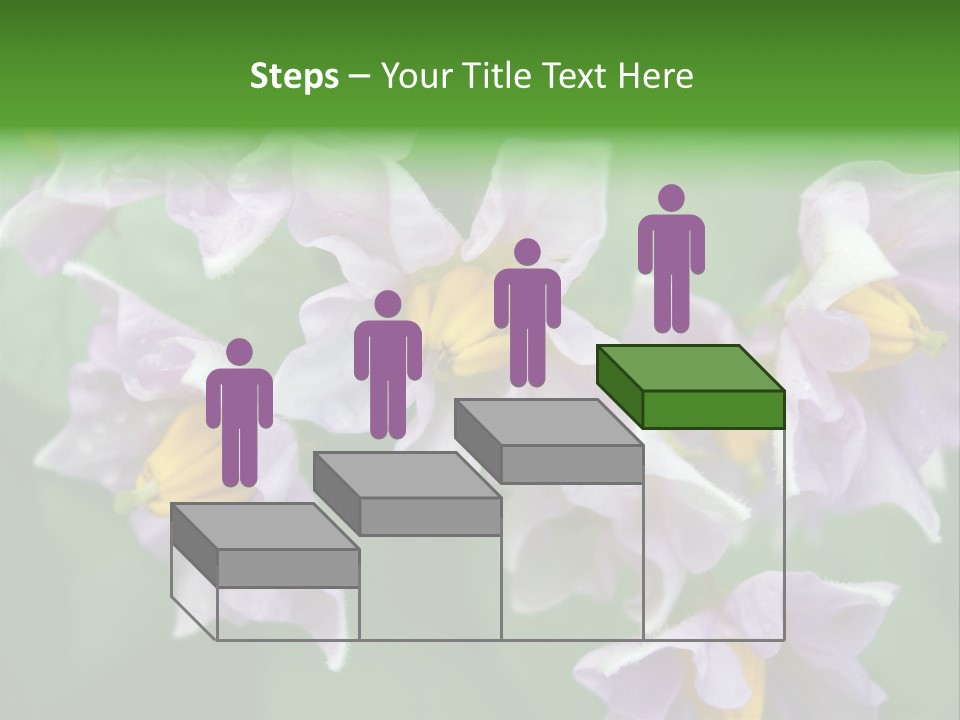 Flower From Yukon Gold Potato PowerPoint Template