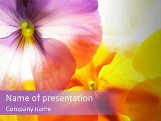 A Group Of Colorful Flowers Powerpoint Template PowerPoint Template