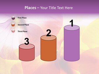 A Group Of Colorful Flowers Powerpoint Template PowerPoint Template