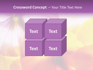 A Group Of Colorful Flowers Powerpoint Template PowerPoint Template