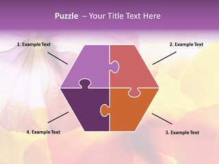 A Group Of Colorful Flowers Powerpoint Template PowerPoint Template