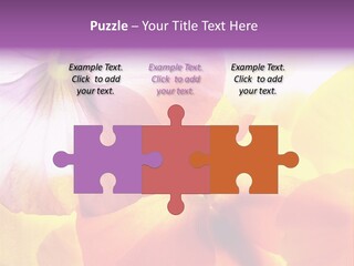 A Group Of Colorful Flowers Powerpoint Template PowerPoint Template