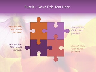 A Group Of Colorful Flowers Powerpoint Template PowerPoint Template