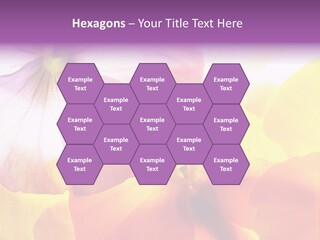 A Group Of Colorful Flowers Powerpoint Template PowerPoint Template