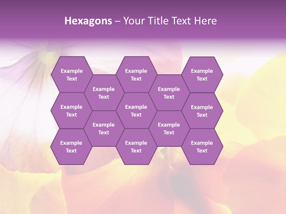 A Group Of Colorful Flowers Powerpoint Template PowerPoint Template