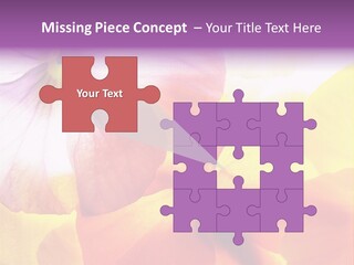 A Group Of Colorful Flowers Powerpoint Template PowerPoint Template