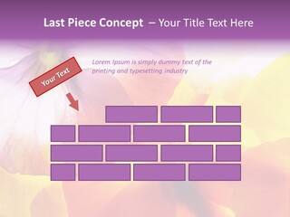 A Group Of Colorful Flowers Powerpoint Template PowerPoint Template