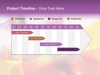 A Group Of Colorful Flowers Powerpoint Template PowerPoint Template
