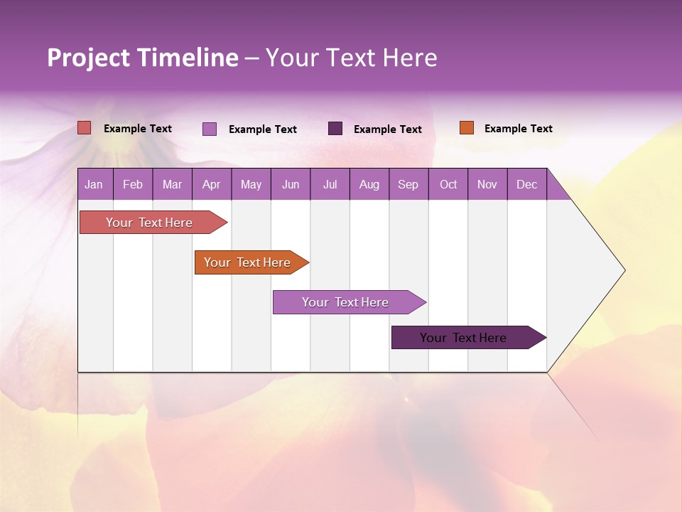 A Group Of Colorful Flowers Powerpoint Template PowerPoint Template