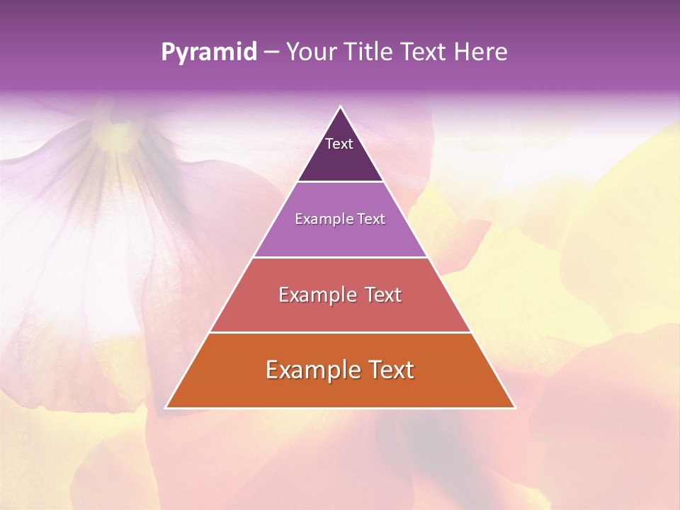 A Group Of Colorful Flowers Powerpoint Template PowerPoint Template