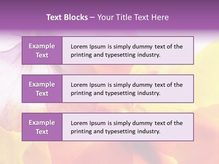 A Group Of Colorful Flowers Powerpoint Template PowerPoint Template