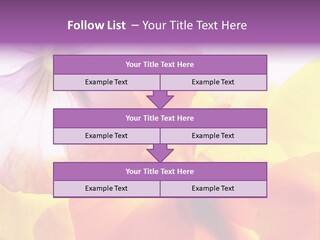 A Group Of Colorful Flowers Powerpoint Template PowerPoint Template