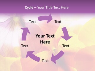A Group Of Colorful Flowers Powerpoint Template PowerPoint Template