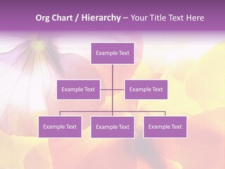 A Group Of Colorful Flowers Powerpoint Template PowerPoint Template