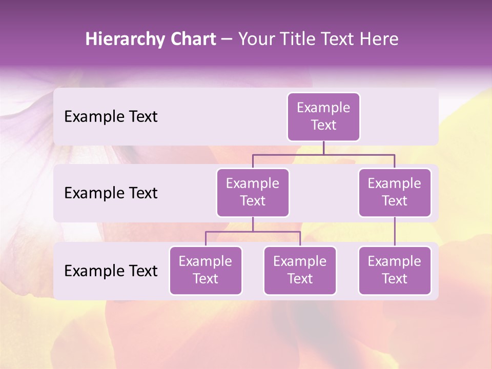 A Group Of Colorful Flowers Powerpoint Template PowerPoint Template