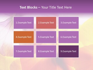 A Group Of Colorful Flowers Powerpoint Template PowerPoint Template