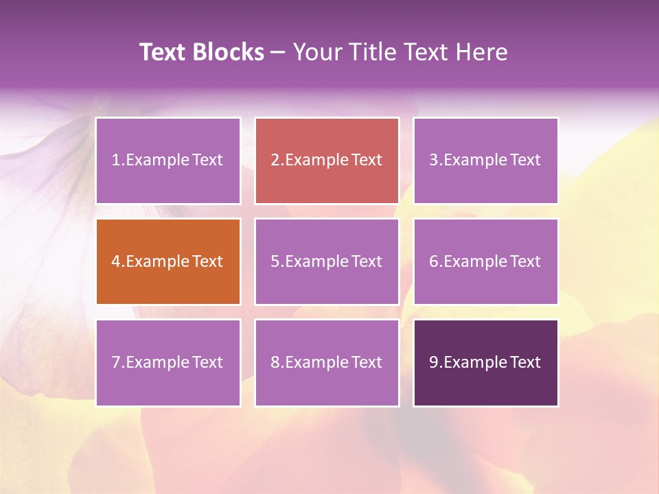 A Group Of Colorful Flowers Powerpoint Template PowerPoint Template