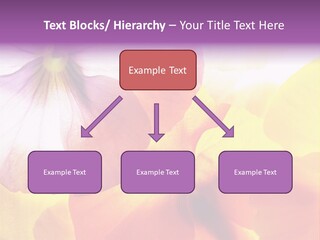 A Group Of Colorful Flowers Powerpoint Template PowerPoint Template