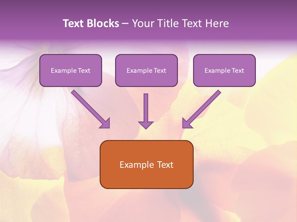 A Group Of Colorful Flowers Powerpoint Template PowerPoint Template